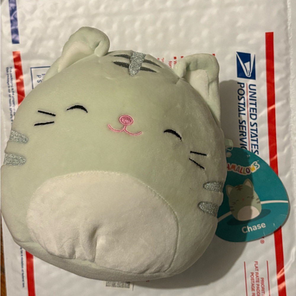 Chase the Cat Squishmallow Plush in 7inch